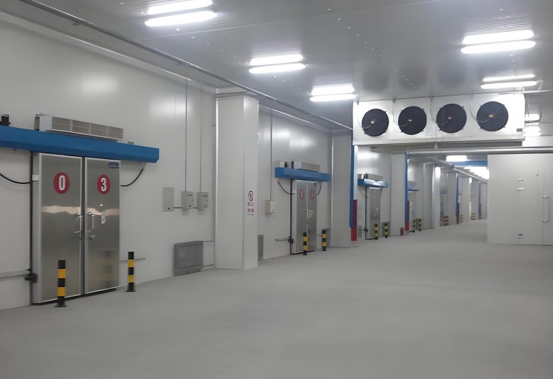 11f40da8-a359-490d-8ac1-d1baf8790569